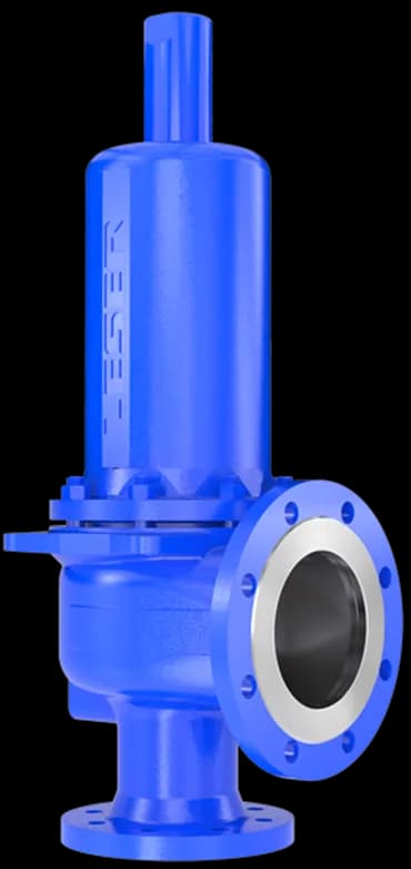 LESER Type 441/442 Full Nozzle Safety Valve