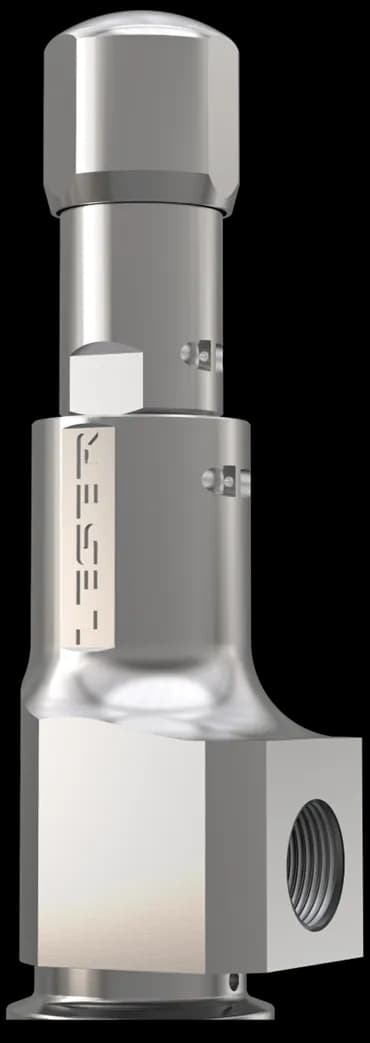 LESER Type 481 Clean Service Safety Valve